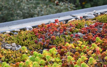the cost of Ffynnon Gron green roof installation