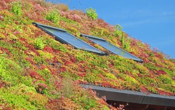 Ffynnon Gron living roof systems